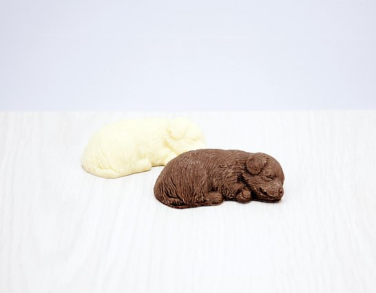  Perrito En Chocolate